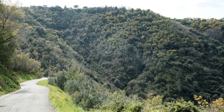 Route en balcon sur le vallon de Valcros.