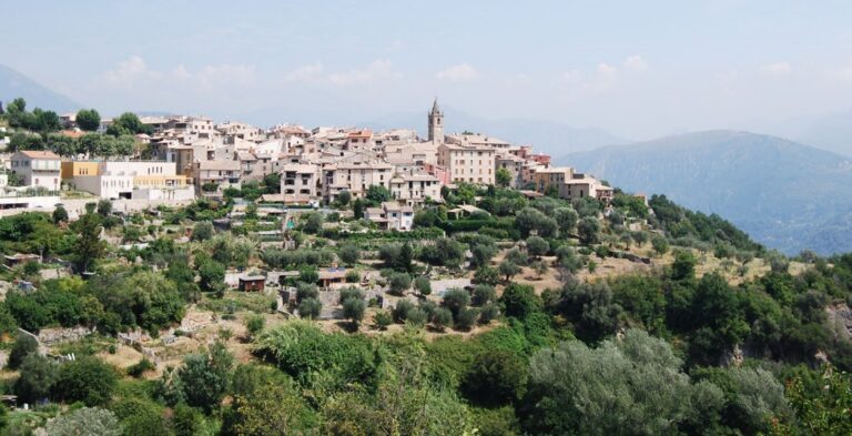 Le Broc depuis le sud et la route de Nice. Les terrasses ensoleillées d'oliviers mettent en valeur la silhouette urbaine coiffée du clocher.
