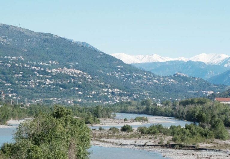Malgré son endiguement, le Var conserve son aspect sauvage avec des méandres, des îlots et une ripisylve fournie (vu depuis la M6202BIS).