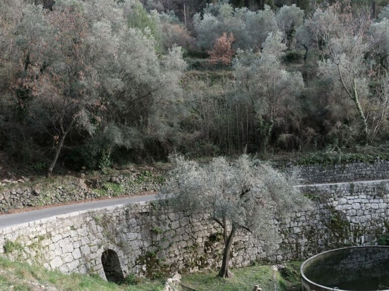 Sous la Roquette-sur-Var, la route est soutenue par un mur en pierre-sèche laissant le passage de l'eau. Une citerne permet de la retenir.