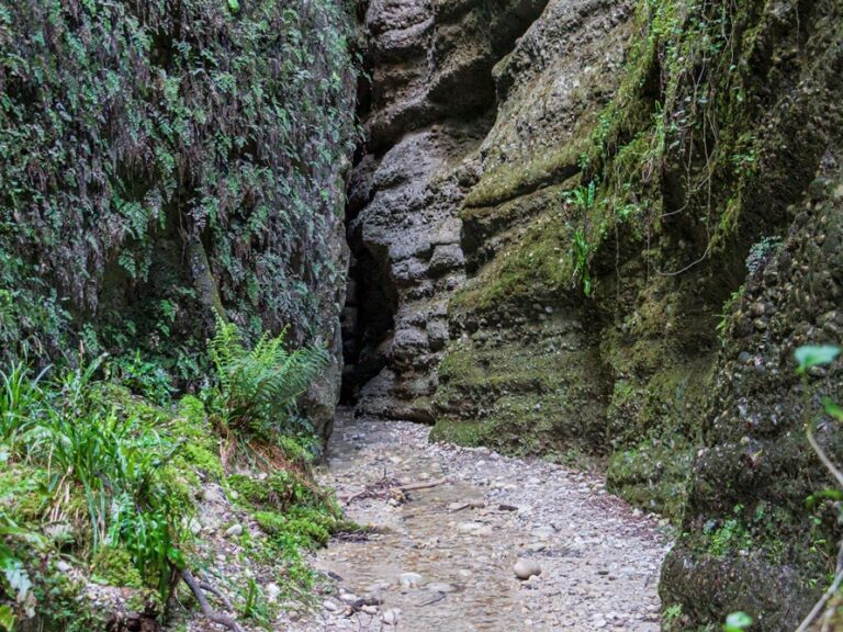 Le vallon obscur du Donaréo, entre Colomars et Castagniers.