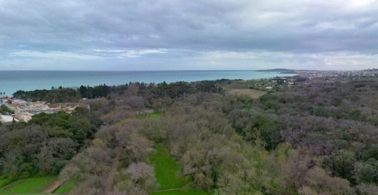 Parc naturel départemental de Vaugrenier, l'une des rares coupures d'urbanisation sur le littoral maralpin.