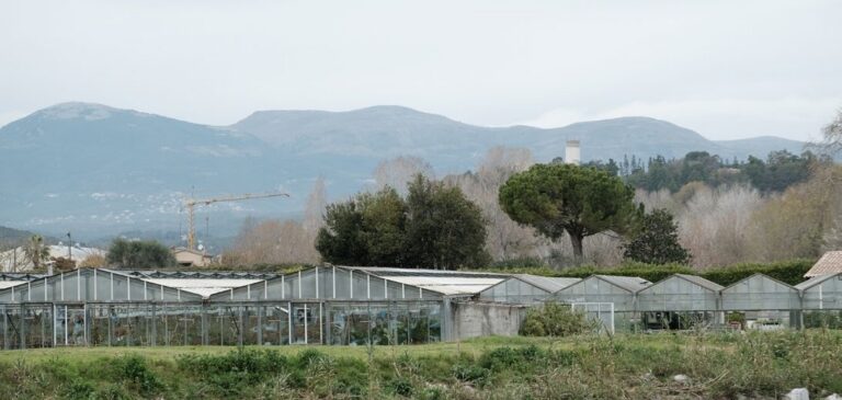 Depuis les berges du Loup à Villeneuve-Loubet, l'horizon des causses et baous s'impose dans le paysage.