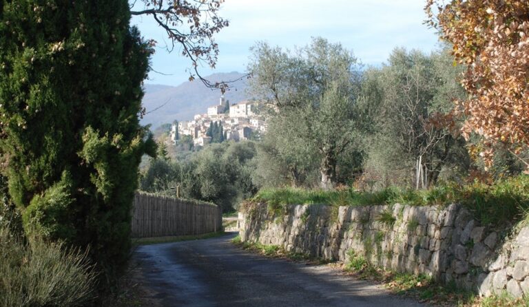 Petite route dans les oliveraies d’Opio et Châteauneuf-Grasse.