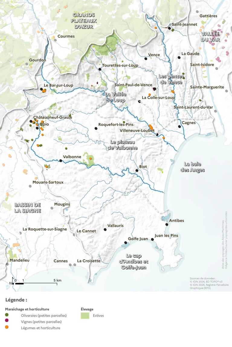Carte de l'agriculture