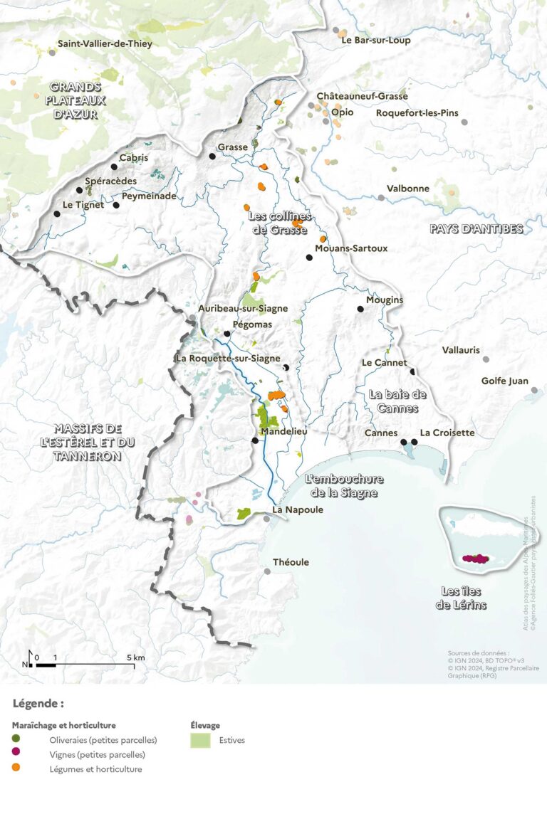 Carte de l'agriculture