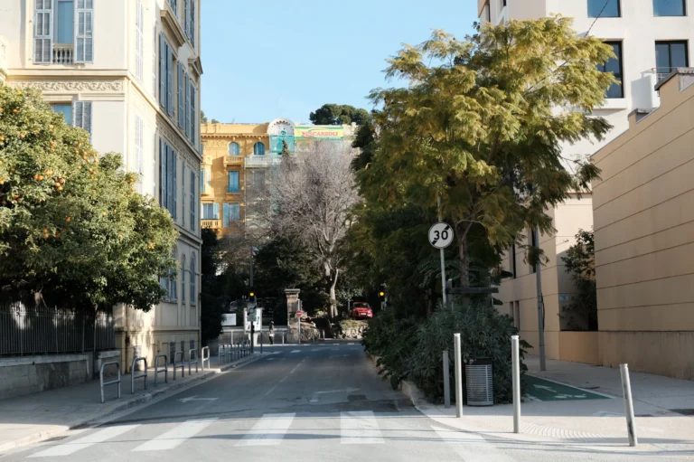 Arbre signal en perspective de rue, bande plantée continue avec plusieurs strates végétales, pied d’immeuble arboré sur la rue Pierre Dévoluy.